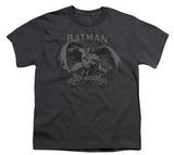 Youth: Batman-Crusade