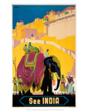 Indian State Railways: See India