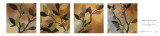 Buy Sundown Bronze Petites at AllPosters.com
