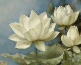 Lotus II