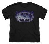 Youth: Batman-Cracked Shield