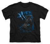 Youth: Batman-Lightning Strikes