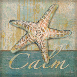 Buy Calm at AllPosters.com