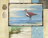 Sandpiper Collage II