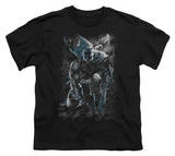 Youth: Batman-In The Rain