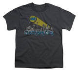 Youth: Batman-Gotham City Distressed
