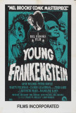 Young Frankenstein