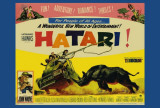 Hatari
