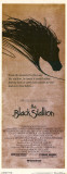 Black Stallion
