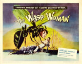 The Wasp Woman -  Style