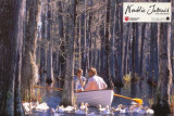 The Notebook