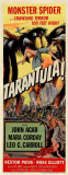 Tarantula