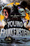 Young Frankenstein