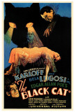 The Black Cat