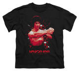 Youth: Bruce Lee-The Shattering Fist