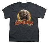 Buy Youth: Dark Crystal-Aughra Circle at AllPosters.com