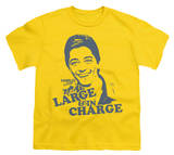 Youth: Charles in Charge-Large&In Charge