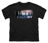 Buy Youth: CSI - New York Subway at AllPosters.com