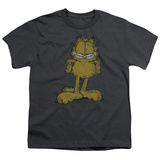 Youth: Garfield - Big Ol' Cat
