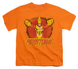 Youth: DC-Ring Of Firestorm