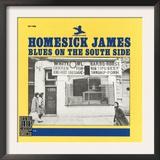 Homesick James - Blues on the South Side