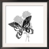 Greyscale Print of Butterfly on Flowers