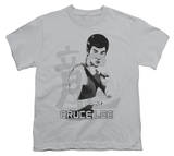 Buy Youth: Bruce Lee-Punch at AllPosters.com