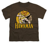 Youth: DC-Hawkman
