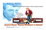 Rebel Without a Cause