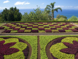 Buy Botanical Gardens, Funchal, Madeira Island, Portugal at AllPosters.com