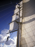 Buy Crew Member Climbing Mast of the Star Clipper, Caribbean at AllPosters.com