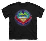 Youth: Superman - Don