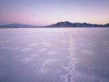 Bonneville Salt Flats at Sunrise, Silver Island Mountains & Pilot Peak, Utah, USA