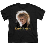 Buy Youth: Labyrinth - Jareth at AllPosters.com