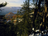 Bristlecone Pines Above Cedar Breaks at Sunset in Wintercedar Breaks National Monument, Utah, USA