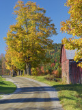 Road Beside Classic Farm in Autumn, New Hampshire, USA