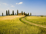 Tuscan Villa Nearing Harvest, Tuscany, Italy