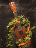 Buy Koa Ukulele, Hawaii, USA at AllPosters.com
