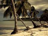 Playa Rincon Beach, Las Galeras, Samana Peninsula, Dominican Republic