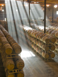Shafts of Light in Barrel Room of Montevina Winery, Shenandoah Valley, California, USA
