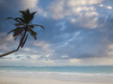 Buy Bavaro Beach Palms at Dawn, Bavaro, Punta Cana Region, Dominican Republic at AllPosters.com