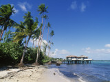 Buy Coconuts Beach Club Resort, Apia, Samoa at AllPosters.com