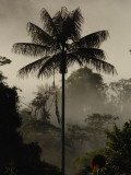Buy Western Slope of the Andes, San Isidro, Ecuador at AllPosters.com
