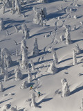 Skiing Through the Snowghosts at Whitefish Mountain Resort, Montana, USA