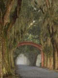 Buy Entrance To Bethesda in Early Morning Light, Savannah, Georgia, USA at AllPosters.com