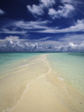 Buy Beach in Palau at AllPosters.com