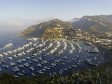Boats Anchored in Catalina Harbor, Catalina Island, California, USA