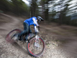 Mountain Biker on Malice in Plunderland Trail, Spencer Mountain, Whitefish, Montana, USA