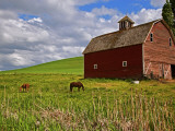A Ride Through the Farm Country of Palouse, Washington State, USA