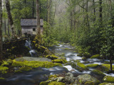 Buy Watermill By Stream in Forest, Roaring Fork, Great Smoky Mountains National Park, Tennessee, USA at AllPosters.com